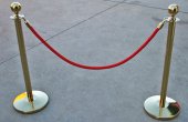 Golden Stanchion Golden Stanchion